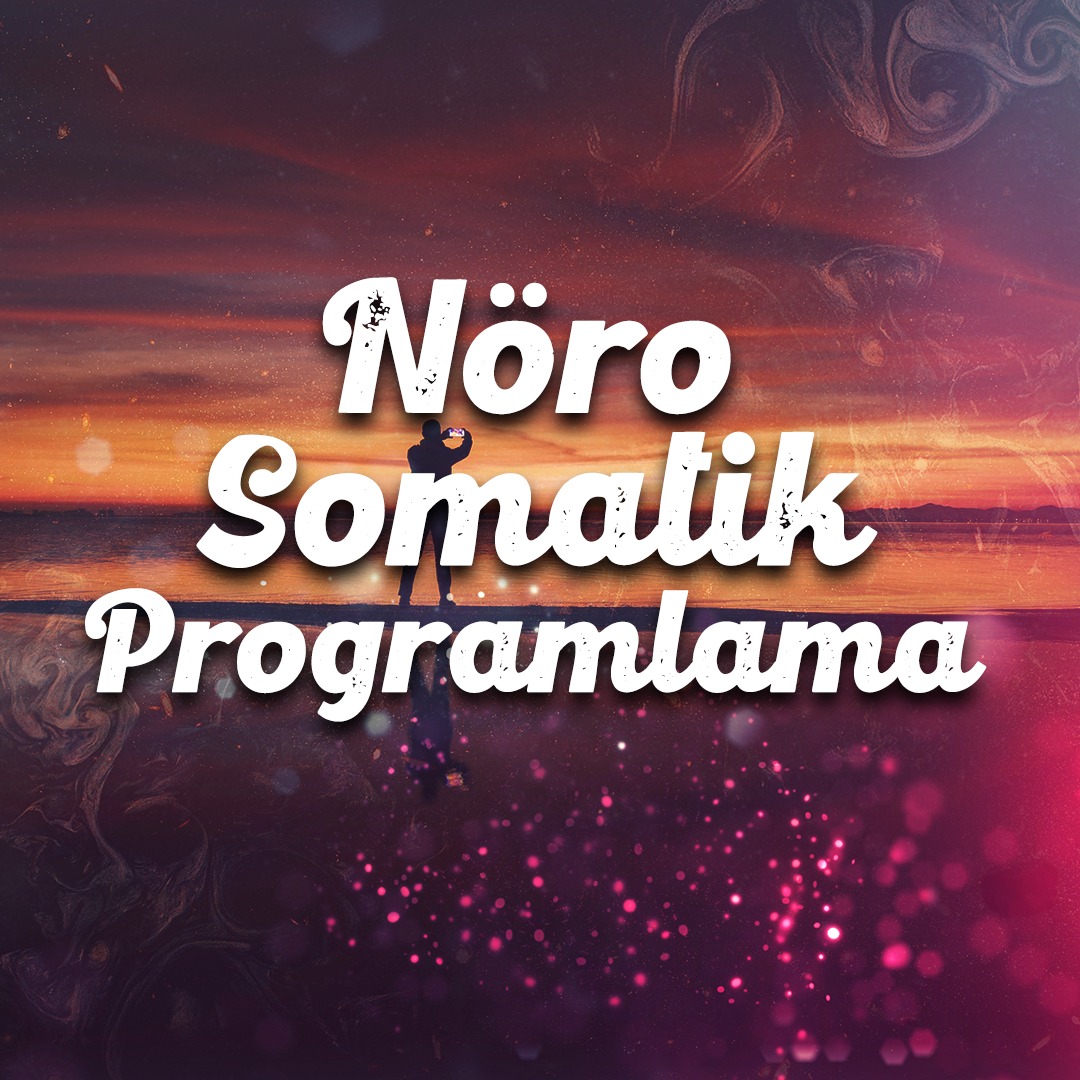 Nöro Somatik Programlama